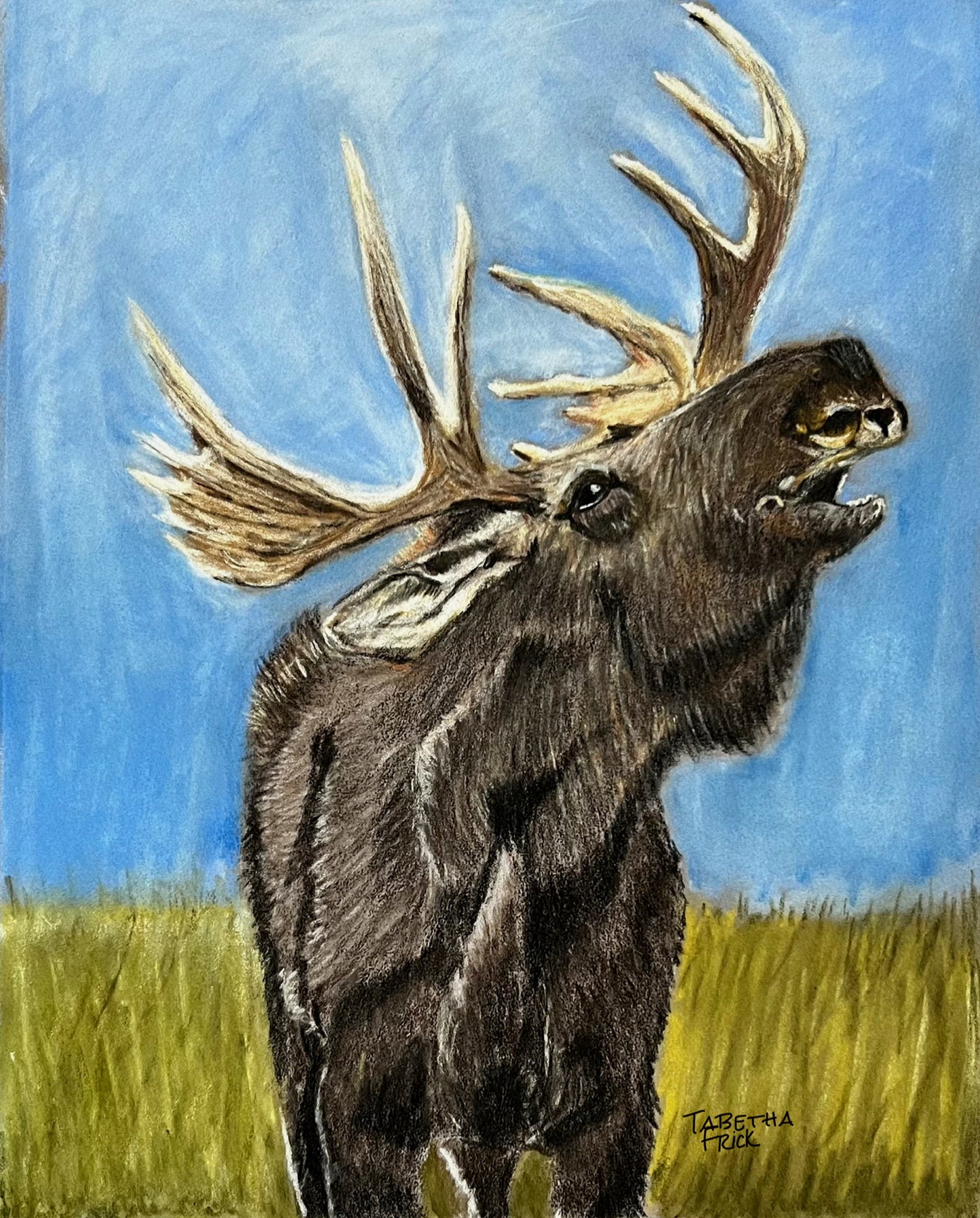 Stately Moose